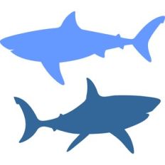 sharks silhouette
