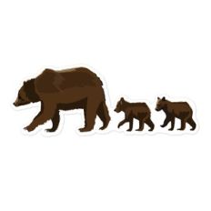 bears