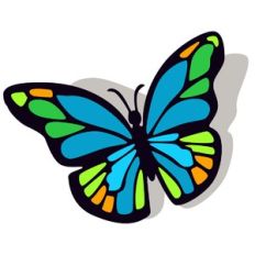 butterfly