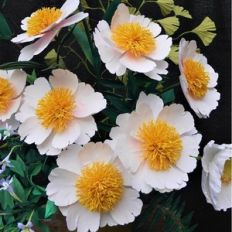 claire de lune peony