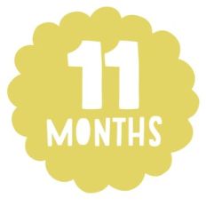 eleven months