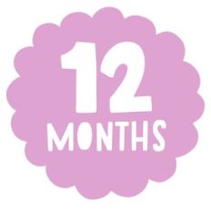 twelve months