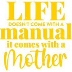 life doesn't come with a manual