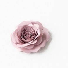 rolled rose by farren celeste