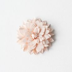 rolled dahlia by farren celeste