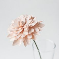 rolled dahlia on stem by farren celeste