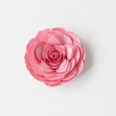 rolled camellia by farren celeste