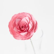 rolled camellia on stem by farren celeste