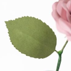 rose leaf by farren celeste