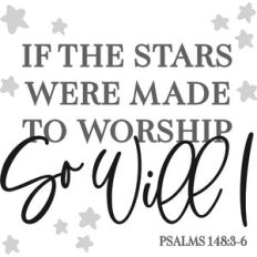 if the stars were made to worship so will i - psalms