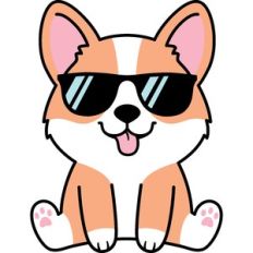 baby corgi with sunglasses