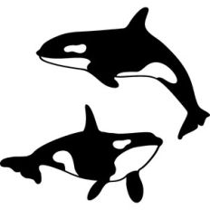 orcas silhouette