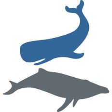 whales silhouette