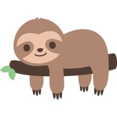 cute sloth on branch