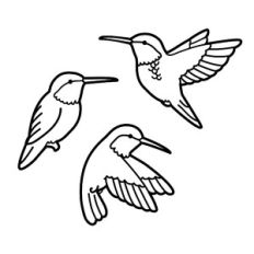 hummingbirds