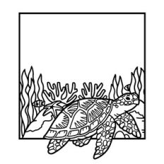 sea turtle square frame