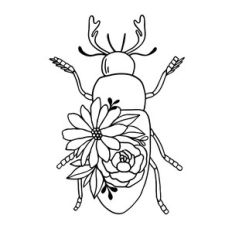 beetle insect with flowers