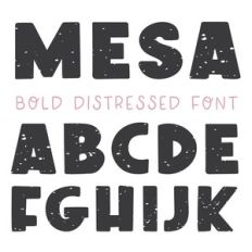dtc mesa