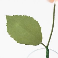 dahlia leaf by farren celeste