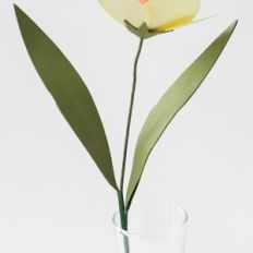 daffodil leaf by farren celeste