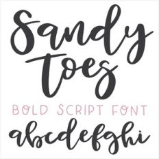 dtc sandy toes