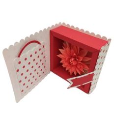dahlia with frame in box