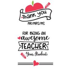 thank you for being an awesome teacher