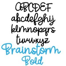 zp brainstorm bold