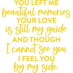 beautiful memories