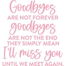 goodbyes are not forever