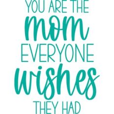 you are the mom everyone wishes they had