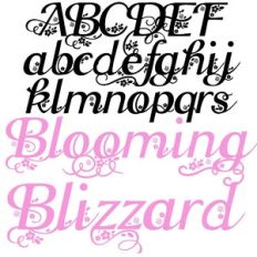 zp blooming blizzard