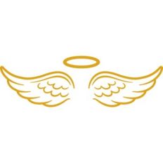 angel wings and halo