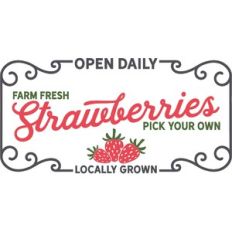 fresh picked strawberries