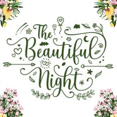 the beautiful night