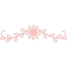 daisy divider