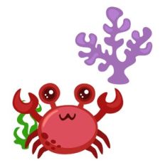 crab and coral