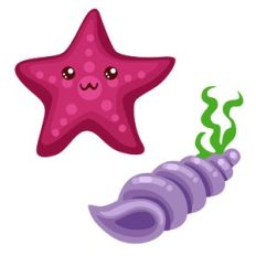 starfish and shell