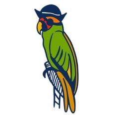 pirate parrot