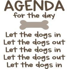 agenda for the day