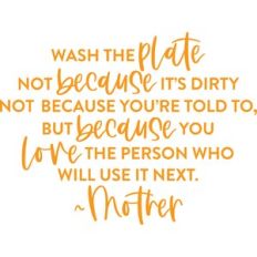 wash the plate