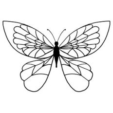 whimsical butterfly