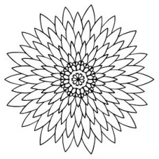 flower mandala