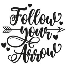 follow your arrow