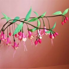 fuchsia