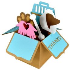 veterinarian dog thank you card in a box