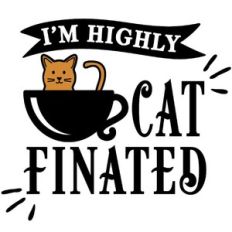 I'm highly cat-finated