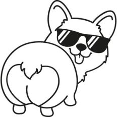 corgi with sunglasses