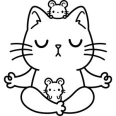 yoga cat