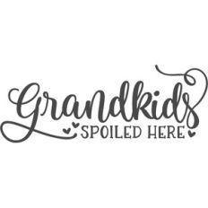 grandkids spoiled here